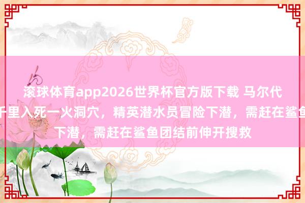 滚球体育app2026世界杯官方版下载 马尔代夫搭客失散遗体千里入死一火洞穴,精英潜水员冒险下潜,需赶在鲨鱼团结前伸开搜救