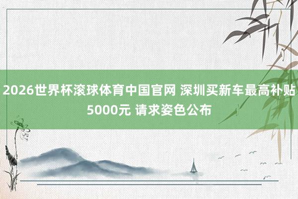 2026世界杯滚球体育中国官网 深圳买新车最高补贴5000元 请求姿色公布