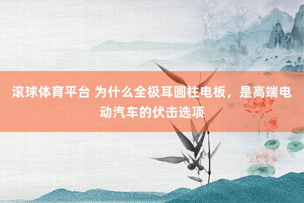 滚球体育平台 为什么全极耳圆柱电板，是高端电动汽车的伏击选项