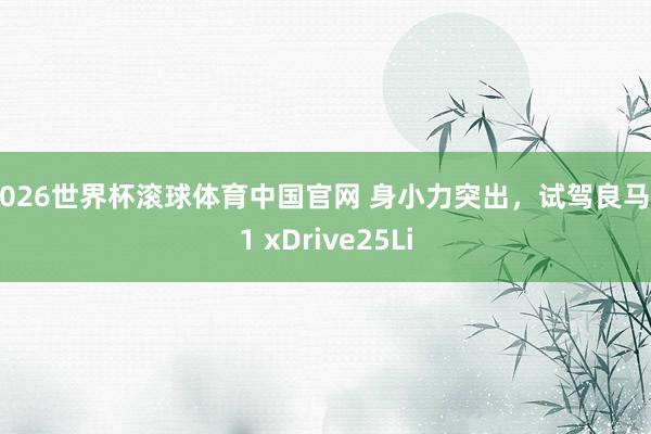 2026世界杯滚球体育中国官网 身小力突出,试驾良马X1 xDrive25Li