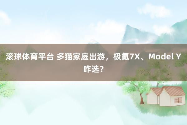 滚球体育平台 多猫家庭出游,极氪7X、Model Y咋选?