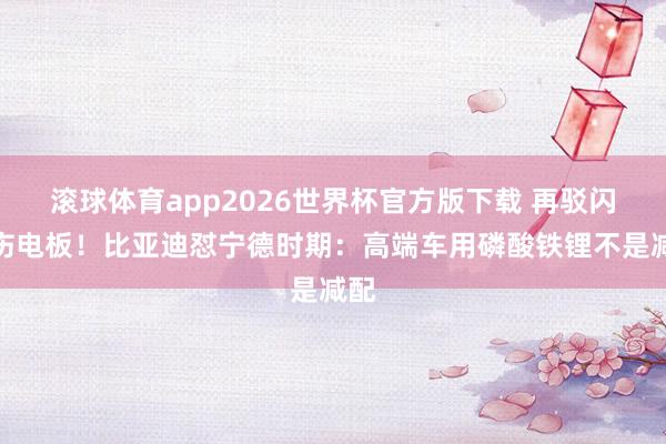 滚球体育app2026世界杯官方版下载 再驳闪充伤电板！比亚迪怼宁德时期：高端车用磷酸铁锂不是减配