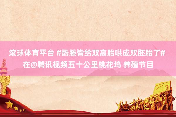 滚球体育平台 #酷滕皆给双高胎哄成双胚胎了# 在@腾讯视频五十公里桃花坞 养殖节目