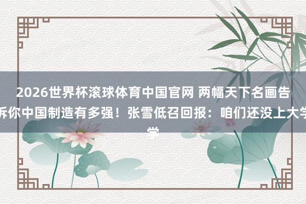2026世界杯滚球体育中国官网 两幅天下名画告诉你中国制造有多强!张雪低召回报:咱们还没上大学