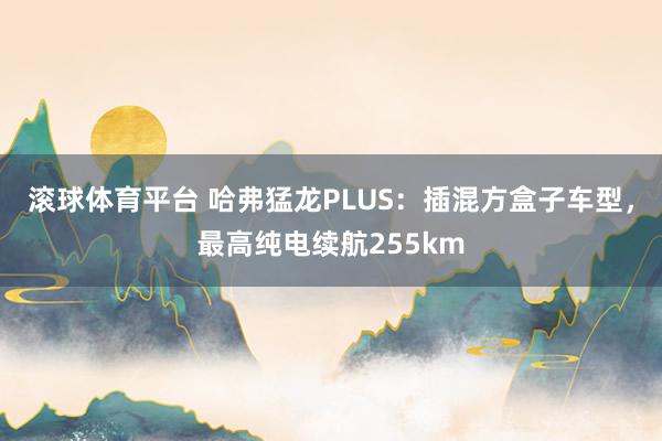 滚球体育平台 哈弗猛龙PLUS：插混方盒子车型，最高纯电续航255km