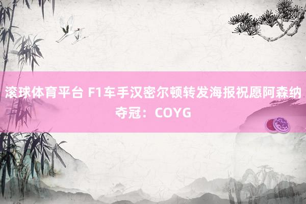 滚球体育平台 F1车手汉密尔顿转发海报祝愿阿森纳夺冠:COYG