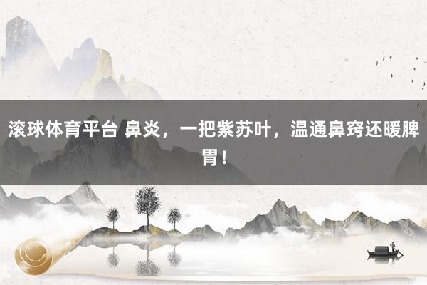 滚球体育平台 鼻炎,一把紫苏叶,温通鼻窍还暖脾胃!