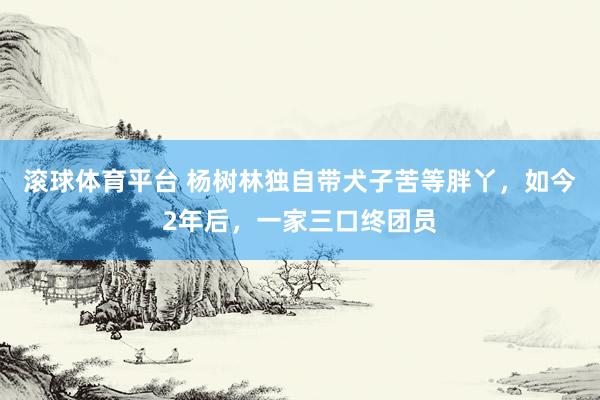 滚球体育平台 杨树林独自带犬子苦等胖丫,如今2年后,一家三口终团员