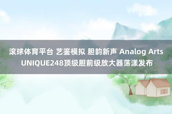 滚球体育平台 艺鉴模拟 胆韵新声 Analog Arts UNIQUE248顶级胆前级放大器荡漾发布