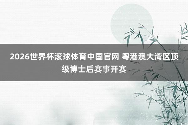 2026世界杯滚球体育中国官网 粤港澳大湾区顶级博士后赛事开赛