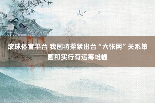 滚球体育平台 我国将攥紧出台“六张网”关系策画和实行有运筹帷幄