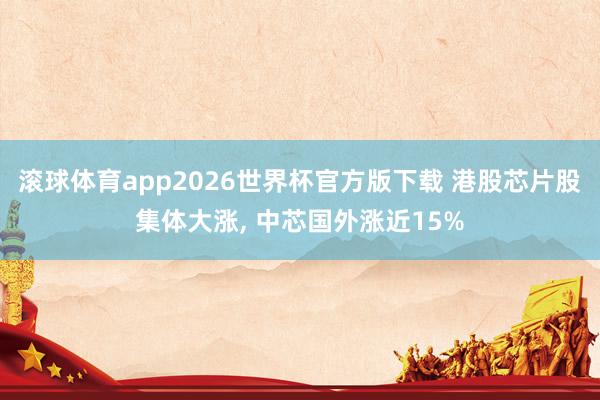 滚球体育app2026世界杯官方版下载 港股芯片股集体大涨, 中芯国外涨近15%