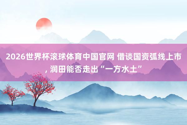 2026世界杯滚球体育中国官网 借谈国资弧线上市, 润田能否走出“一方水土”
