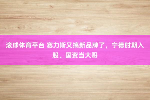 滚球体育平台 赛力斯又搞新品牌了，宁德时期入股、国资当大哥
