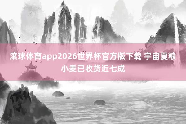 滚球体育app2026世界杯官方版下载 宇宙夏粮小麦已收货近七成