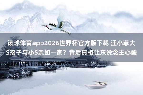 滚球体育app2026世界杯官方版下载 汪小菲大S孩子与小S亲如一家?背后真相让东说念主心酸