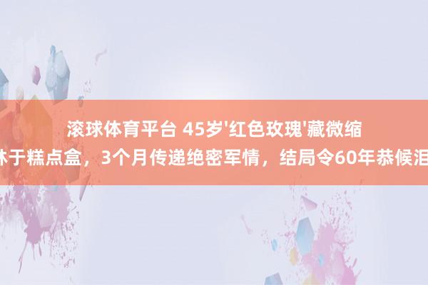 滚球体育平台 45岁'红色玫瑰'藏微缩菲林于糕点盒,3个月传递绝密军情,结局令60年恭候泪崩!