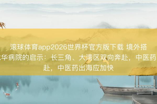 滚球体育app2026世界杯官方版下载 境外搭客“偏疼”龙华病院的启示:长三角、大湾区双向奔赴,中医药出海应加快