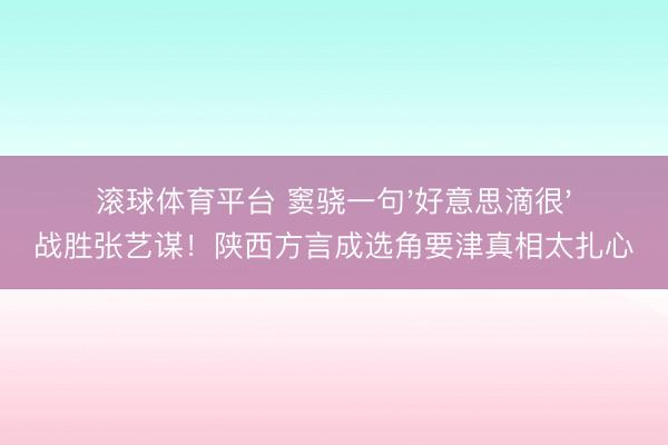 滚球体育平台 窦骁一句'好意思滴很'战胜张艺谋!陕西方言成选角要津真相太扎心