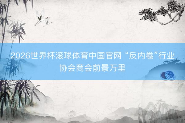 2026世界杯滚球体育中国官网 “反内卷”行业协会商会前景万里