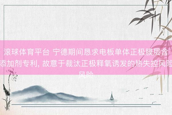 滚球体育平台 宁德期间恳求电板单体正极膜层含添加剂专利， 故意于裁汰正极释氧诱发的热失控风险
