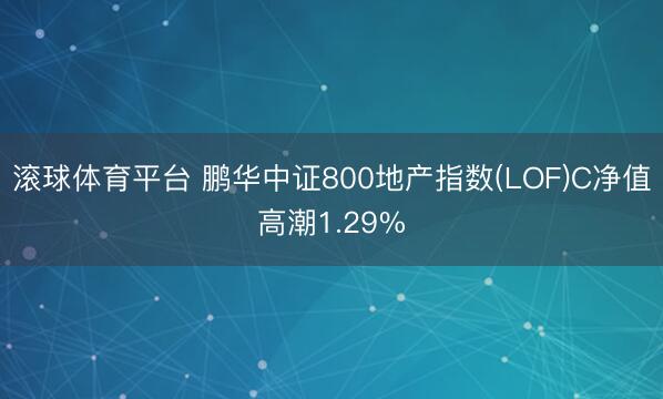 滚球体育平台 鹏华中证800地产指数(LOF)C净值高潮1.29%