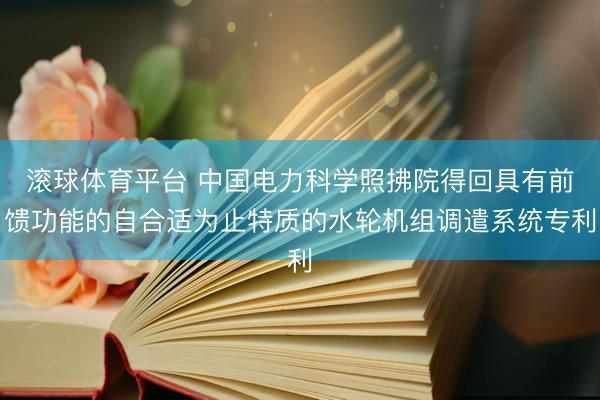 滚球体育平台 中国电力科学照拂院得回具有前馈功能的自合适为止特质的水轮机组调遣系统专利