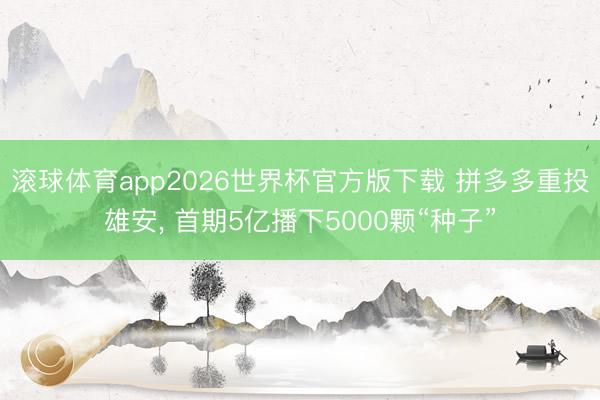 滚球体育app2026世界杯官方版下载 拼多多重投雄安, 首期5亿播下5000颗“种子”