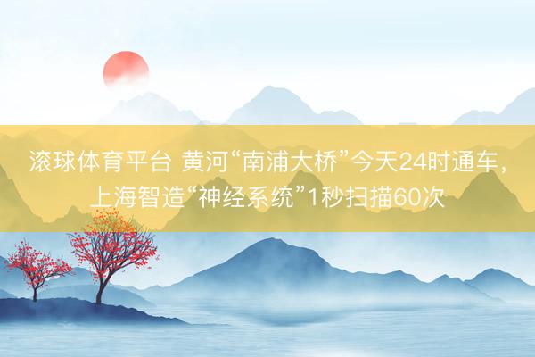 滚球体育平台 黄河“南浦大桥”今天24时通车,上海智造“神经系统”1秒扫描60次