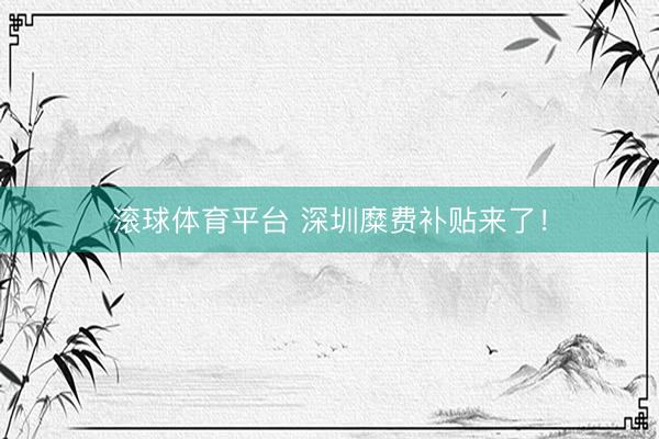 滚球体育平台 深圳糜费补贴来了!