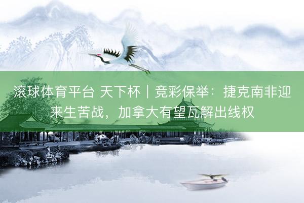 滚球体育平台 天下杯|竞彩保举:捷克南非迎来生苦战,加拿大有望瓦解出线权